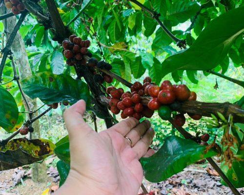 WhatsApp Image 2025-10-10 at 16.06.58